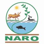 naro